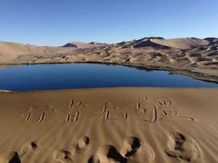 -紫荆广场·花漫里