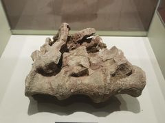 -世界恐龙谷景区