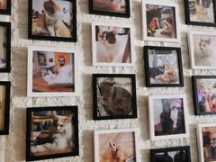 -平行世界·猫咖(首经贸店)