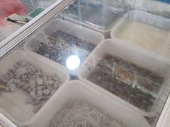 -云生海鲜楼