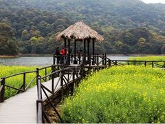 -广州市石门国家森林公园