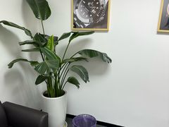 -会麦二手奢侈品回收寄卖