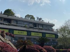 -青藤茶馆(南山路店)