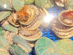 -驻海渔市(置信店)