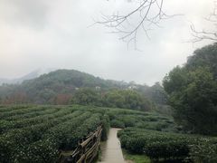 -西湖风景区十里琅珰-五云山