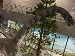 -湖南省地质博物馆