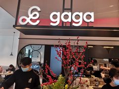 门面-gaga(深圳南山益田假日广场店)