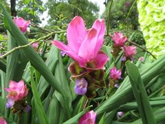 -松山湖南湖湾露营营地