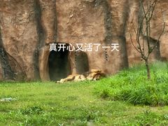 -武汉动物园