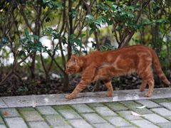 -苏州河梦清园环保主题公园