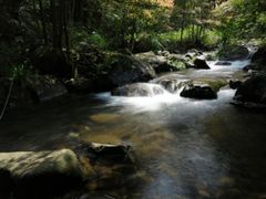-广州市石门国家森林公园