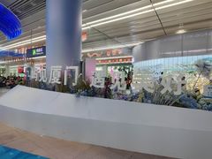 -厦门邮轮中心厦鼓码头(轮渡站)