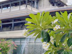 -粤剧艺术博物馆
