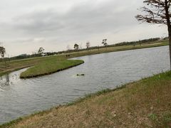 -春花秋色城市公园