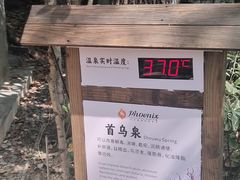 -张家港金凤凰度假村温泉