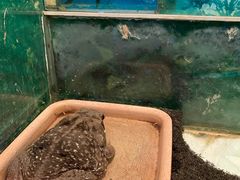 -上海大自然野生昆虫馆