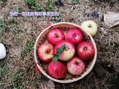 -大连北马山庄