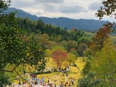 -塔川景区