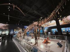 -国家自然博物馆