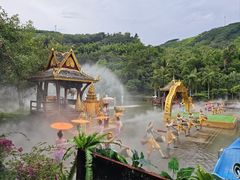 -西双版纳原始森林公园
