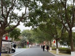 -东钱湖小普陀景区