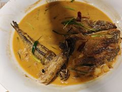 -丹江渔村(望京店)