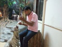 -清迈夜间动物园