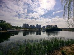 -新江湾城公园