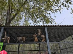 -长白岛森林公园