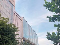 -高·尚领域