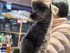 -FAELING PETS美天灵宠物(富力广场店)