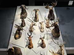 -浙江省博物馆(孤山馆区)