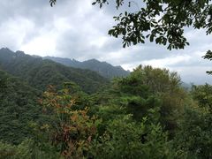 -小陇山国家森林公园桃花沟景区