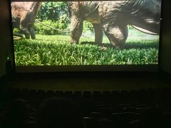 -北京英嘉国际影城(金源CINITY店)