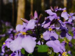 -停车场(临桂路)