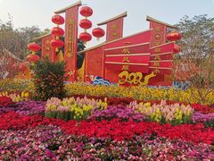 -番禺大夫山森林公园