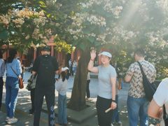 -北京植物园-展览温室