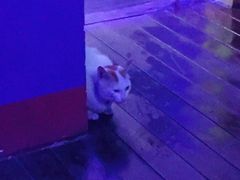 -星宿秘码(鼓浪屿老店)