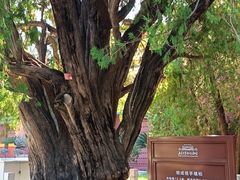 -北京市劳动人民文化宫(太庙)