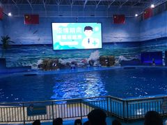 -多彩贵州城极地海洋世界