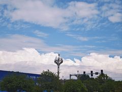 -花溪公园