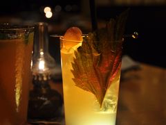 柚子冰茶-JUJU韩式烤肉·干杯小酒馆