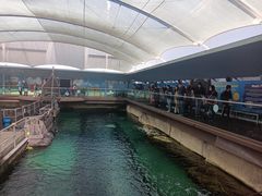 -悉尼海洋生物水族馆
