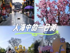 -武汉园博园(武汉自然博物馆)