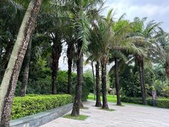 -深圳湾公园(南山区)