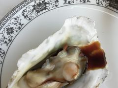 水煮生蚝-渔民船说·北塘海鲜·天津菜·海肠捞饭(北塘古镇店)