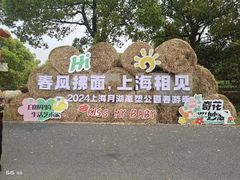 -上海月湖雕塑公园