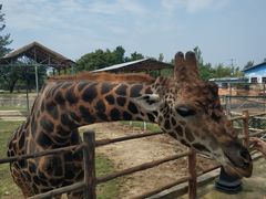 -西安秦岭野生动物园