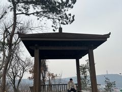 -青龙山国家森林公园