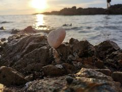 -海南棋子湾开元度假村·祺咖啡自助餐厅